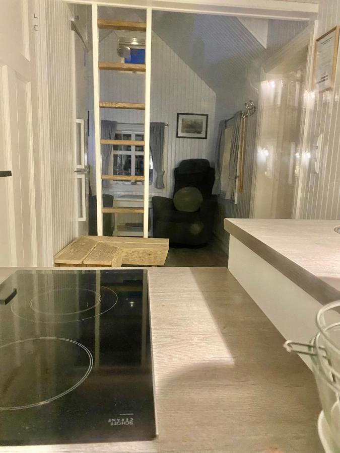 Olenilsoya Mini Villa Reine Kültér fotó